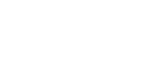 Flanders Investment Trade